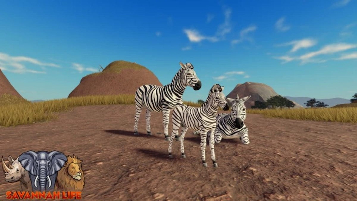 Kode Kehidupan Savannah (Januari 2025)